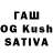 Канабис White Widow Kalil Ibrahim