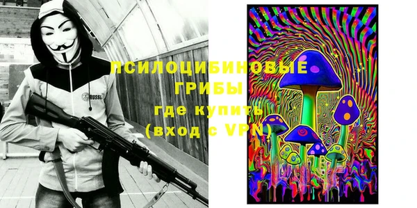 эйфоретик Арсеньев