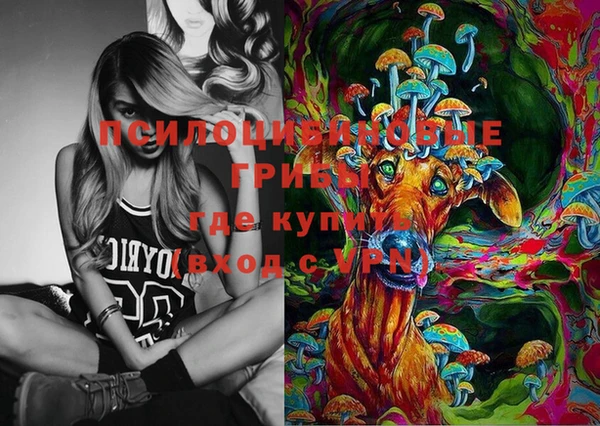 стафф Аркадак
