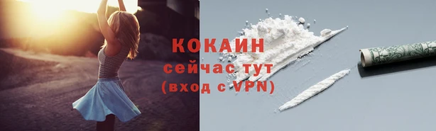 стафф Аркадак