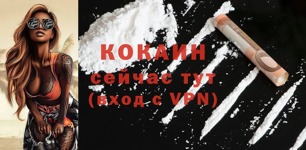 стафф Аркадак