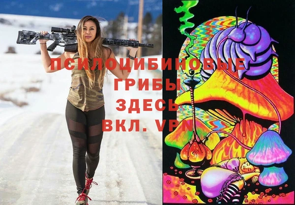 эйфоретик Арсеньев