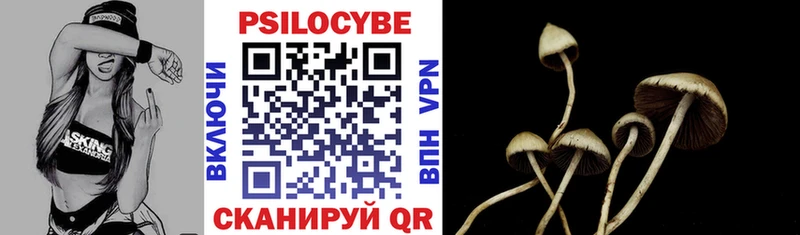 Псилоцибиновые грибы GOLDEN TEACHER  Купить  Спас-Клепики 