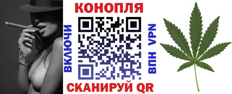 Купить закладки  Спас-Клепики  Конопля тримм 